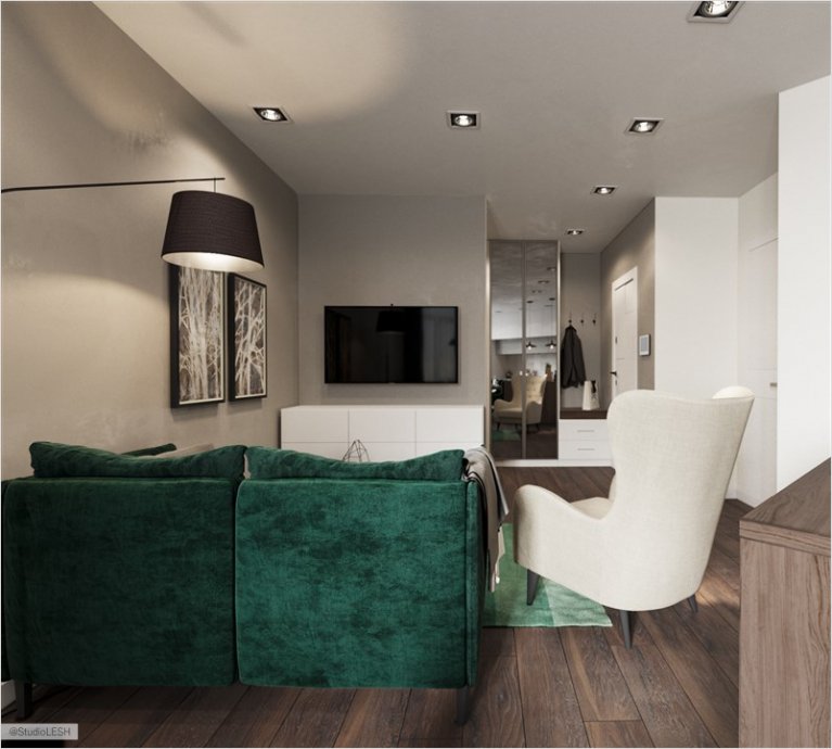 Кухня-гостиная, идеи для кухни-гостиной