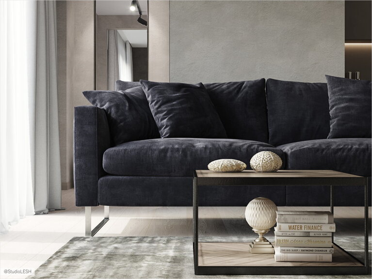 Big sofa in the living room