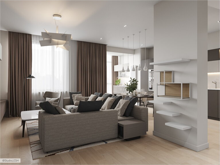 Shelves for cat on the structure-bearing wall