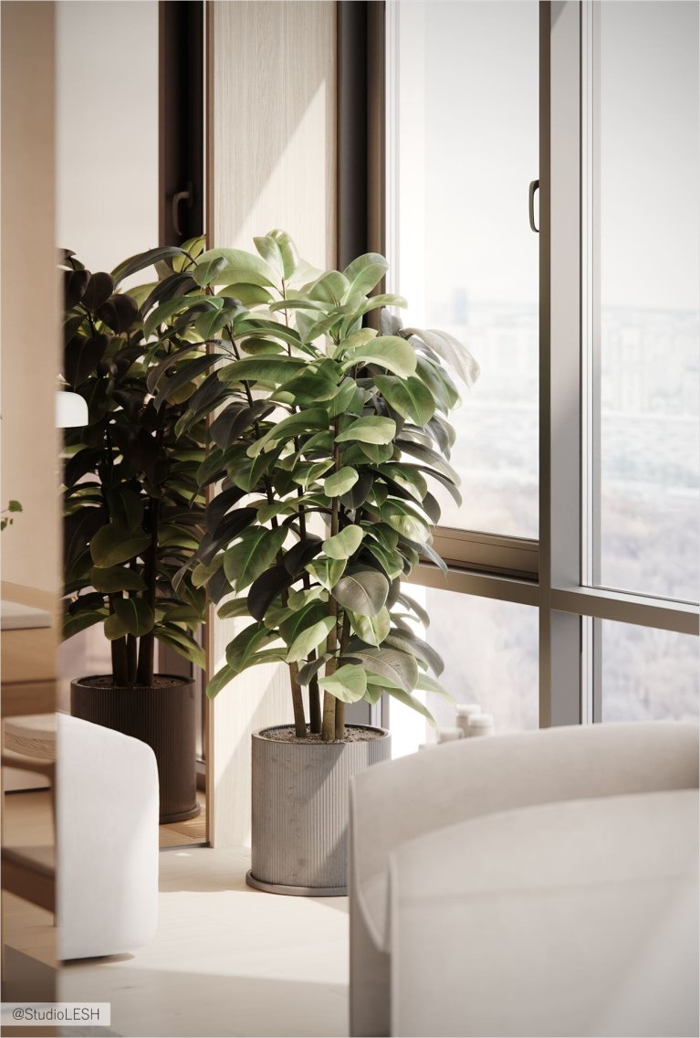 Комнатные растения в современном интерьере