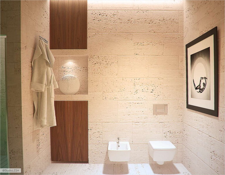 Дизайн интерьера санузла, туалет 