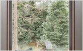 Panoramic window