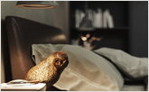 Nightstand with books in the bedroom